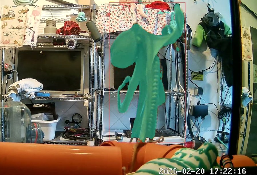 Colour aquarium frame showing the octopus stretched up the side of the tank.