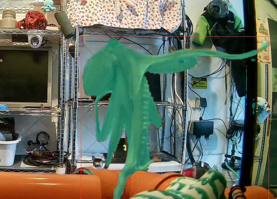 Aquarium camera frame in which the octopus is climbing the tank, with the model's segmentation mask painted over its body and every arm in teal.