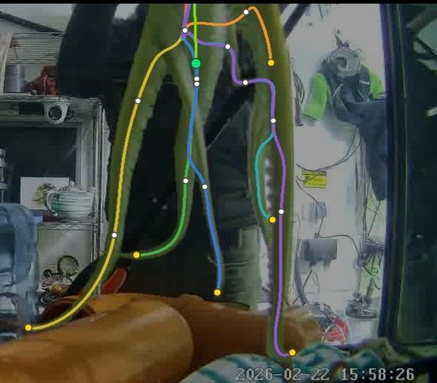 Aquarium frame with the octopus's skeleton extracted: mantle, head and eight arm paths each traced in a different colour with joint nodes marked.
