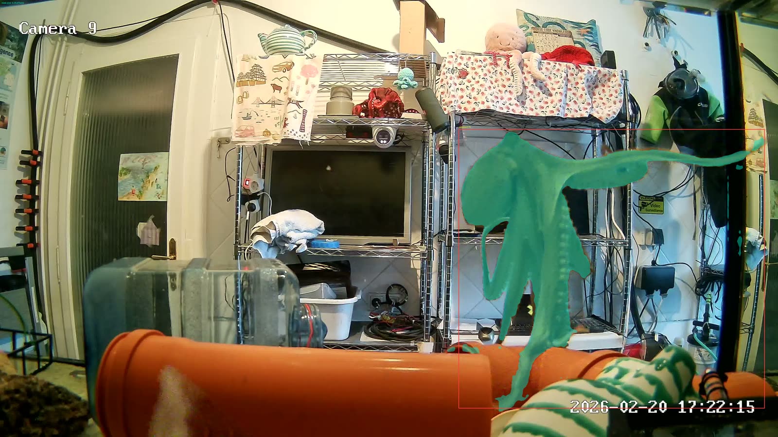 Daylight aquarium camera frame with the octopus climbing the tank; the on-device segmenter's mask is overlaid in teal, following each arm.
