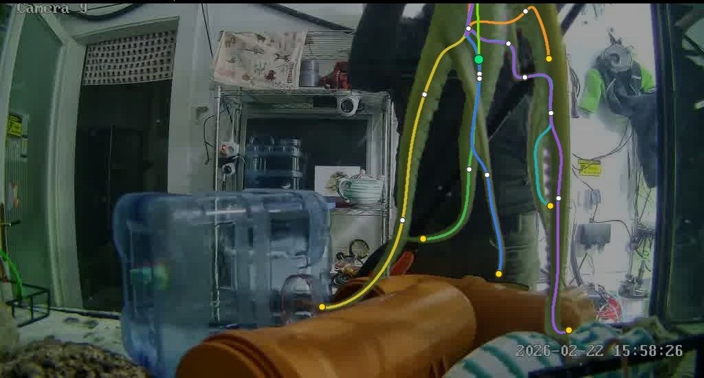 Daylight aquarium frame: the octopus hangs along the right side of the tank with its arms traced by the extracted skeleton, each arm path drawn in a distinct colour with joint nodes marked.